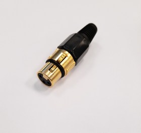 GOLD BLACK